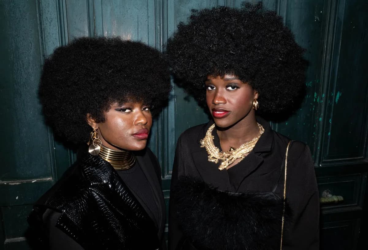 Coiffure afro à Paris : le guide complet (salons, tresses, locks et soins)