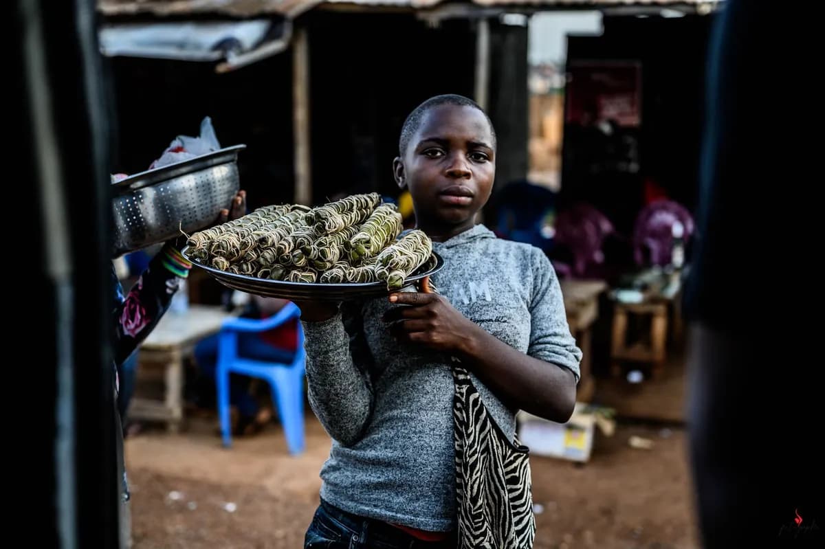 CAJOU BENIN EXPORT : Le rêve croquant de Yenakpon Karl AFFO