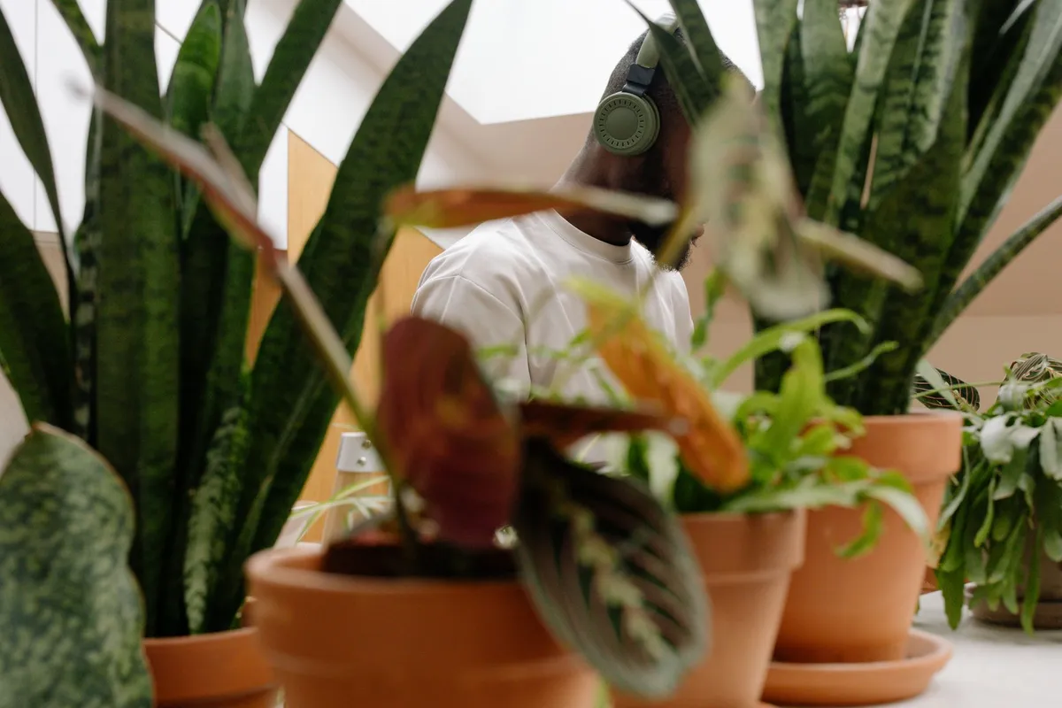 Salon parisien lumineux avec des plantes tropicales luxuriantes, des cache-pots en terre cuite et des textiles wax colorés en arrière-plan